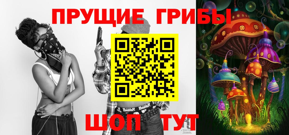 Галлюциногенные грибы Cubensis Советск
