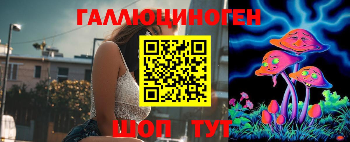 Галлюциногенные грибы Cubensis  Псилоцибиновые грибы Psilocybe  Вход с VPN  Советск 